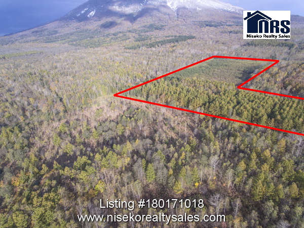 Looking in northerly direction. Front portion of land has now been logged.