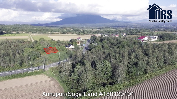 Looking towards Mt Yotei across property and sub-division