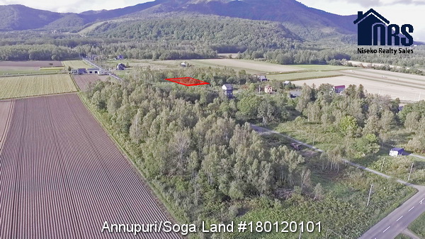 Looking north across sub-division towards Niseko Ski Mountain