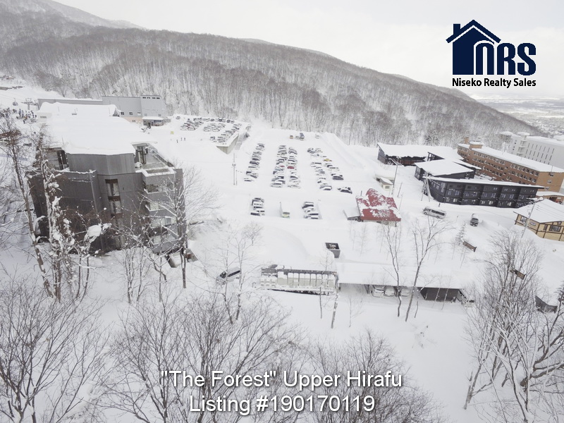 WinterViewsFromTheForest (2)