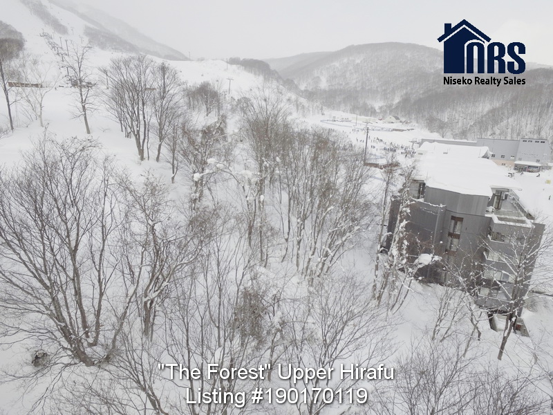 WinterViewsFromTheForest (3)