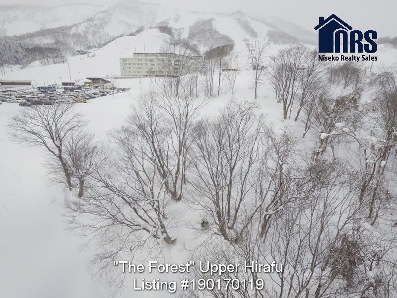 WinterViewsFromTheForest (4)