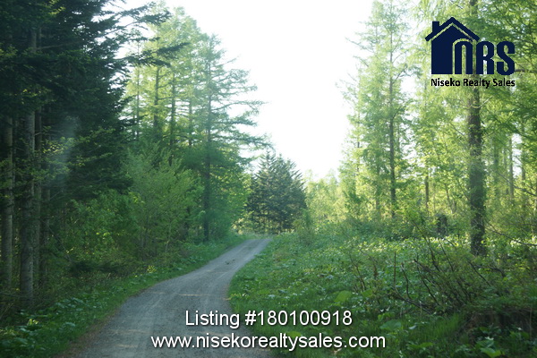 Entrance road into block from main road (town road).