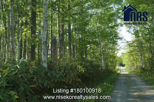 Property is bisected by the town road.