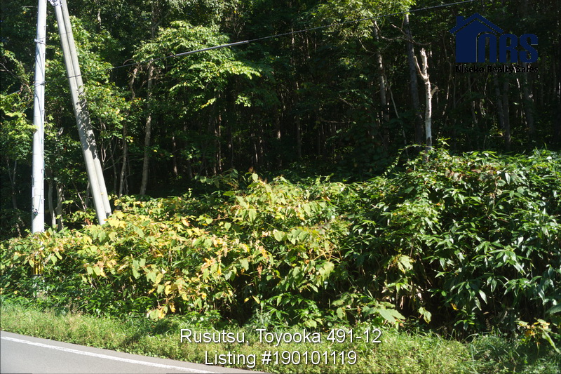 RusutsuToyooka491-12photo_1