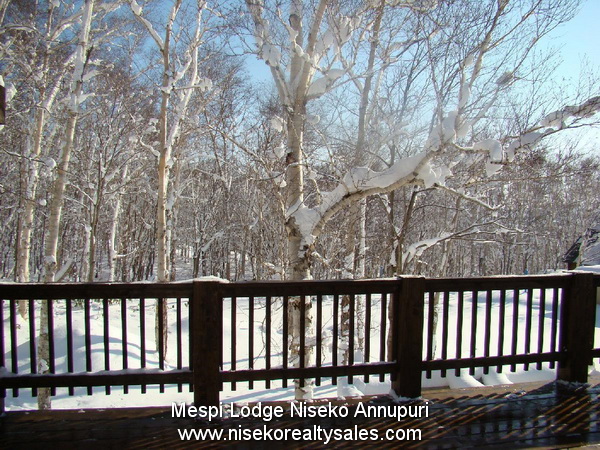 Mespi_Lodge_Niseko_Annupuri_skiresort-36