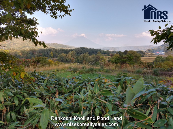 NRS_Rankoshi_498-2_For_sale (3)