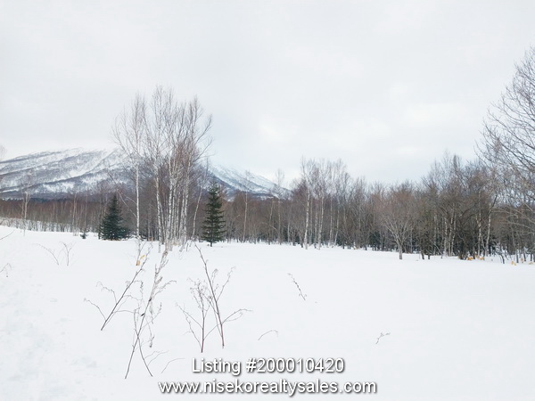 Kimobetsu Hiraoka_77-1_ From within the front of the block looking in a northerly direction.