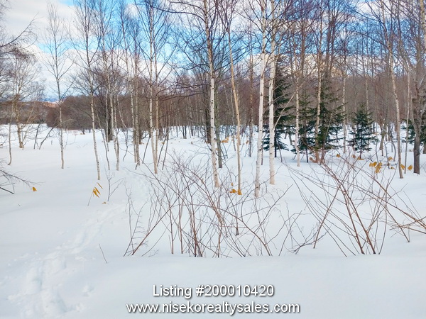 hiraoka_77-1_7 looking south towards Mt Yotei, front road from within block.