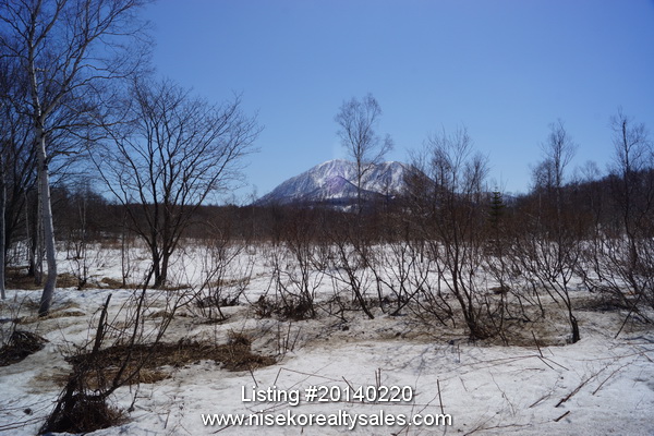 Makkari_shinyo_124-3_7927sqm (2)