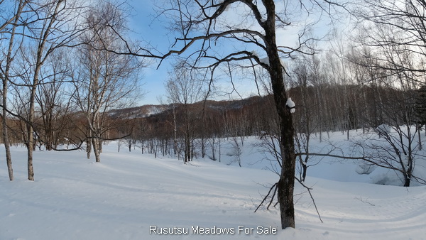 Rusutsu_Meadows_Forsale_1