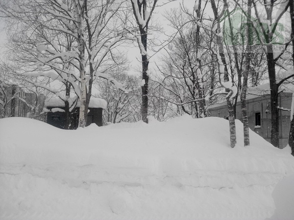 Looking directly into block from front road in a northerly direction.