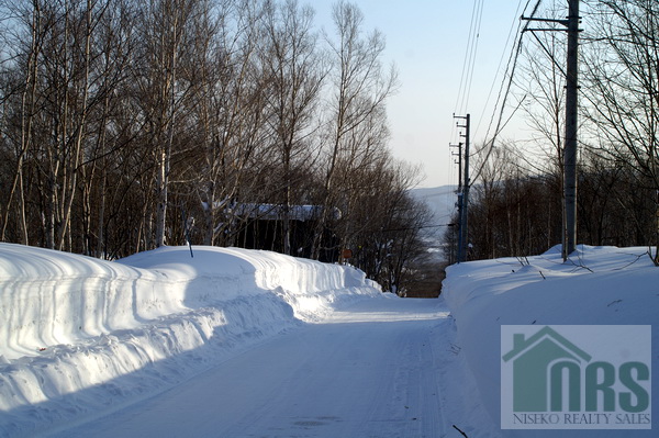 Winter view along front road looking to the south.