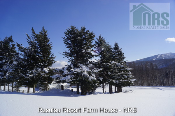 Looking south-east across block with home behind pine tree wind break. Rusutsu Ski Resort Mt Isola can be seen in the background.