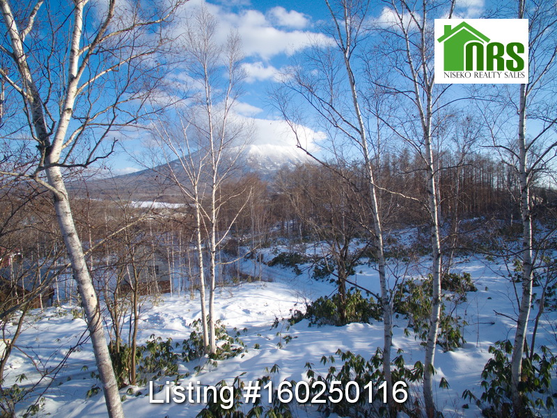 View from a future 2nd stoery window.