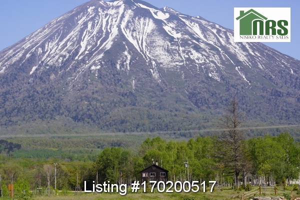 Looking across Pavilions park towards home.
