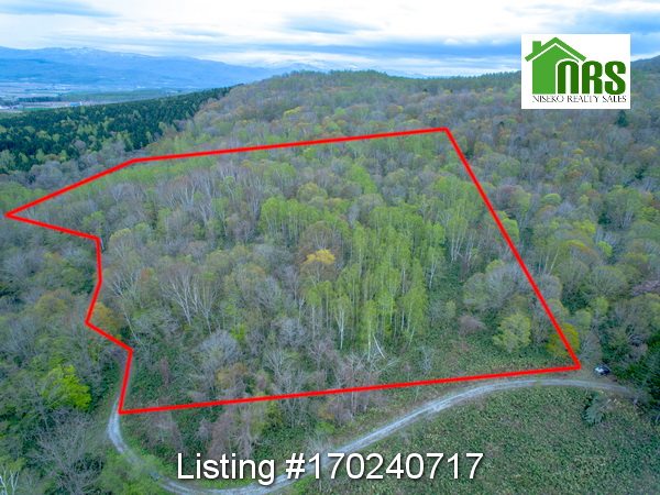 Looking in north easterly direction at block from above adjacent Hokkaido Forest Land. Note Western side land border and actual gravel road location on corner section.