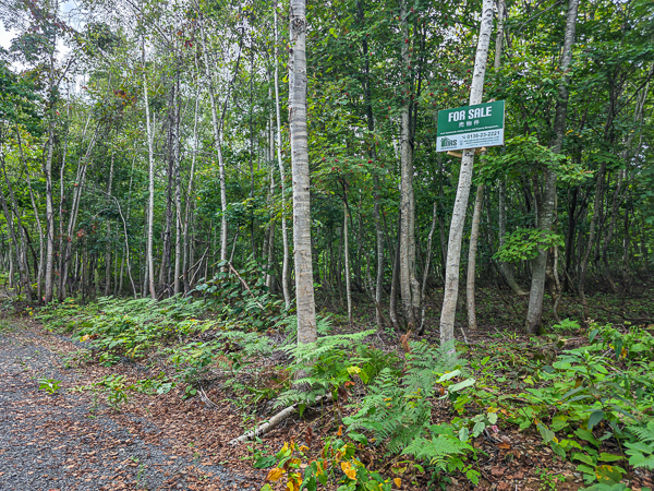 397-70_Aza_Niseko_Forsale (1)