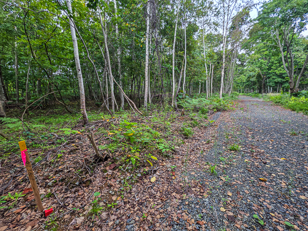 397-70_Aza_Niseko_Forsale (5)