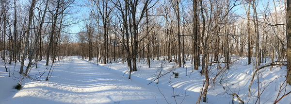 Driveway Snow Clearing - NIseko