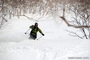 Niseko Backcountry Tour Photos