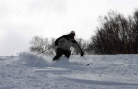 NOASC Niseko Ski Lessons