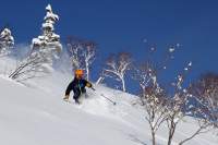 Full-Day Powder Ski Lessons