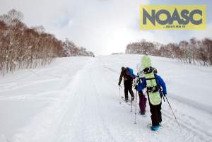 NOASC Niseko Backcountry tours