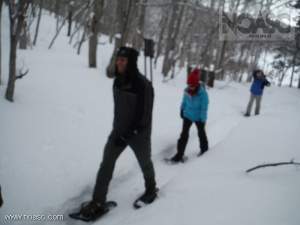 Spring Snowshoeing Tour in Niseko