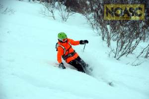 NOASC Niseko lift access backcountry tours