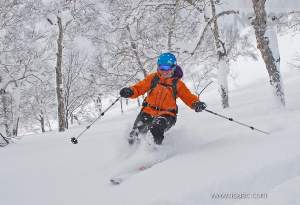 Niseko Backcountry Tours