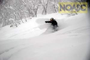 NOASC Niseko lift access backcountry tours