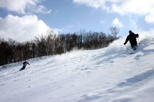 NOASC Niseko Ski Lessons