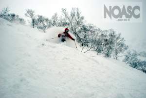 NOASC Niseko Backcountry Tour - Lift Access Moiwa