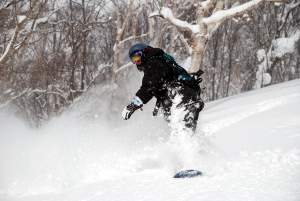 NOASC Niseko Backcountry tours