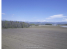 210290521, Mt Yotei Forest Base Block E